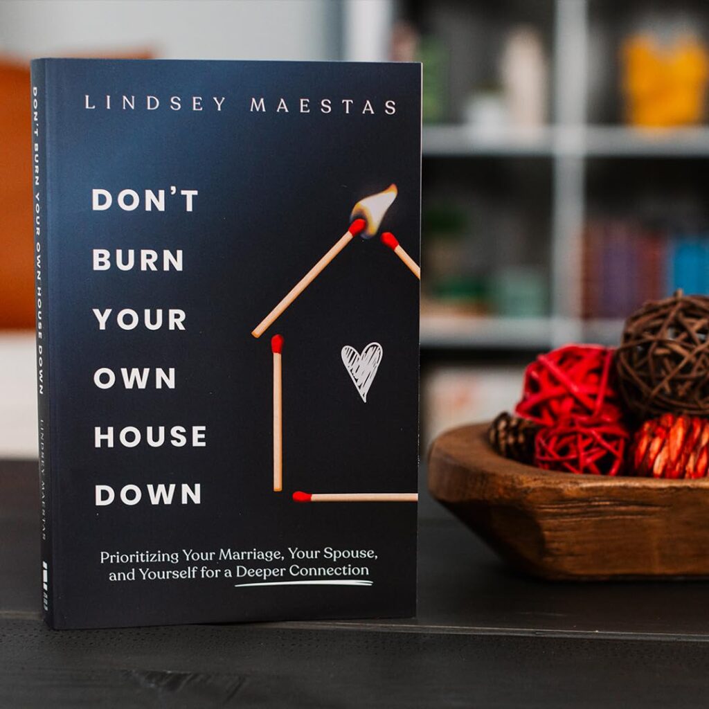 Don't Burn Your Own House Down book cover by Lindsey Maestas